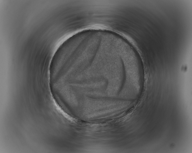 X0000114391335200911061506