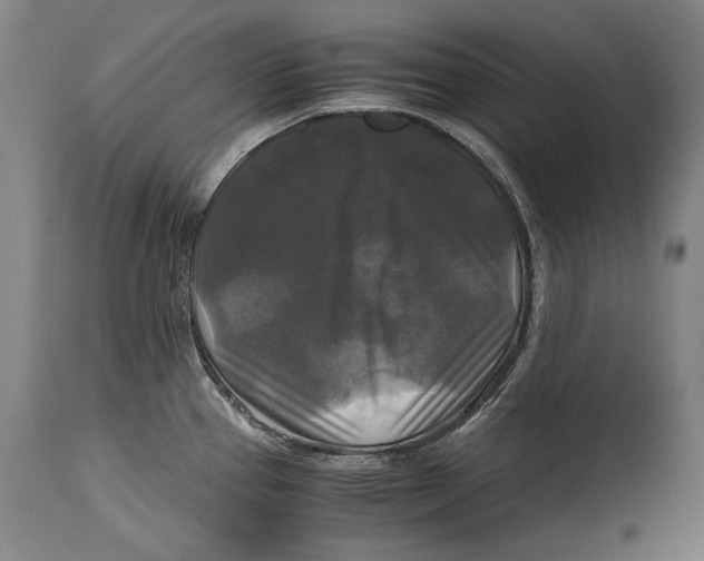 X0000114391337200911061506