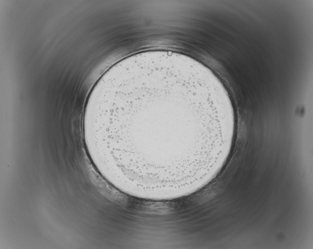 X0000114391338200911061506