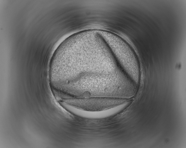 X0000114391339200911061506