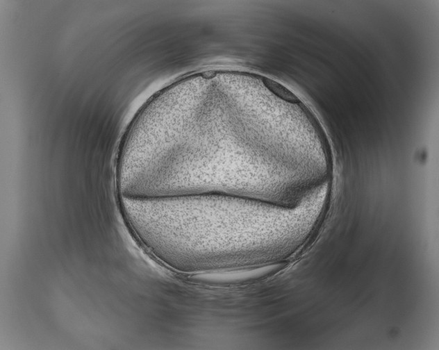X0000114391341200911061506