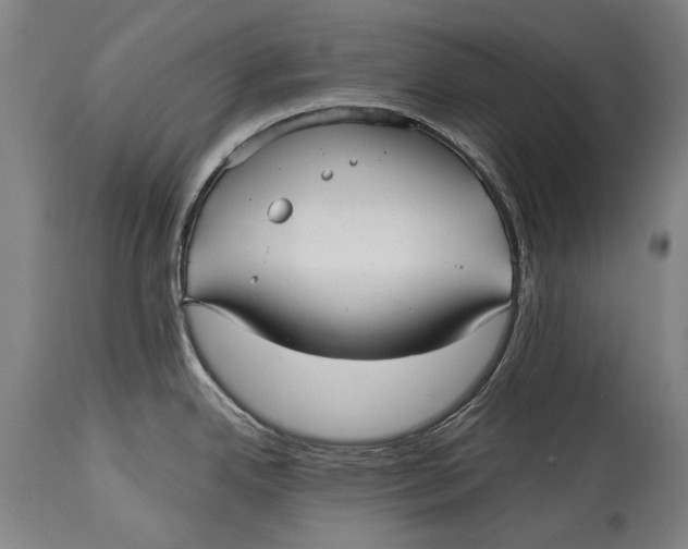 X0000114391342200911061506