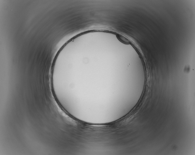X0000114391343200911061506