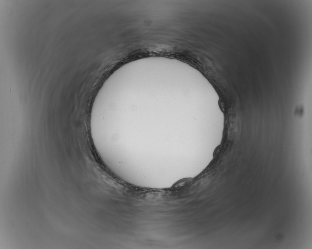 X0000114391345200911061505