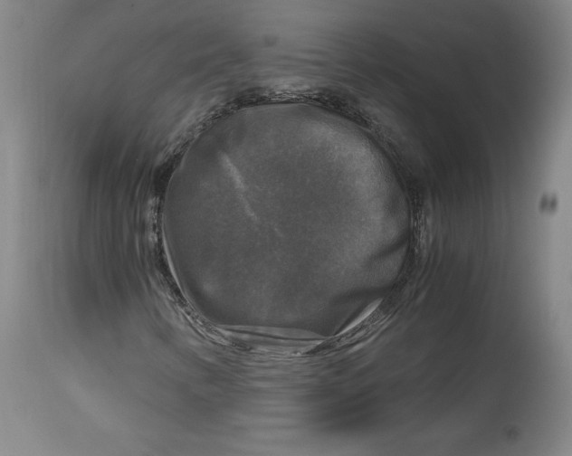 X0000114391346200911061505