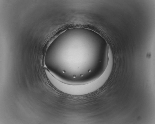 X0000114391348200911061505