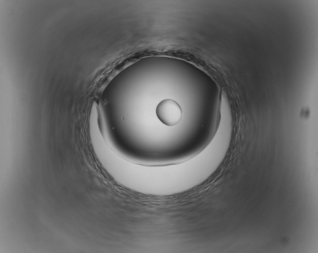 X0000114391349200911061505