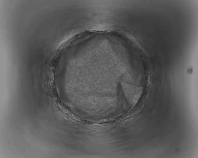 X0000114391350200911061505