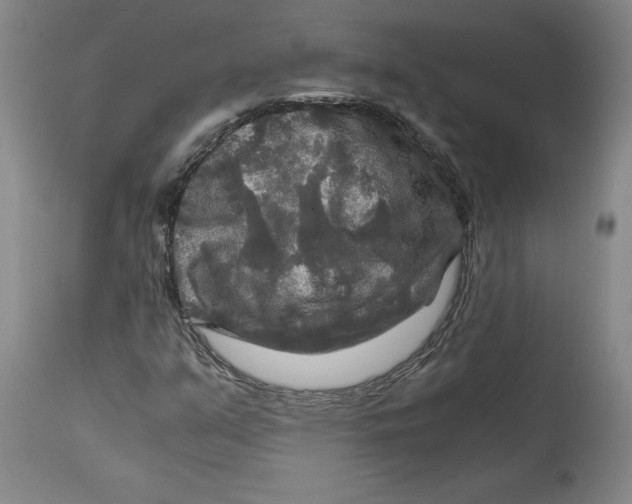 X0000114391351200911061505