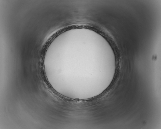 X0000114391352200911061505