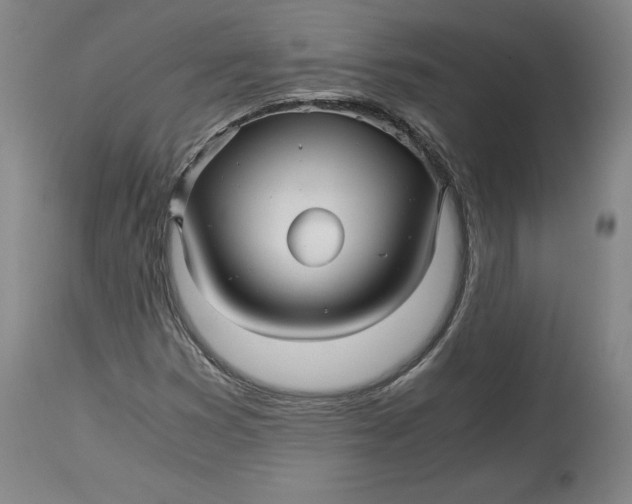 X0000114391353200911061505