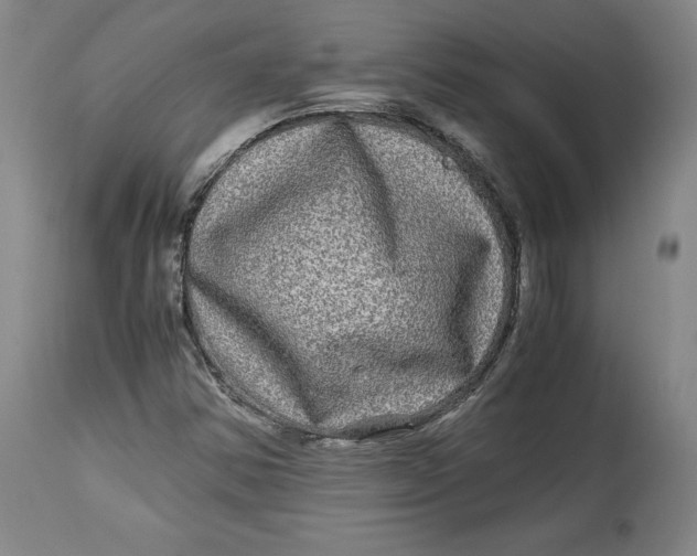 X0000114391354200911061505