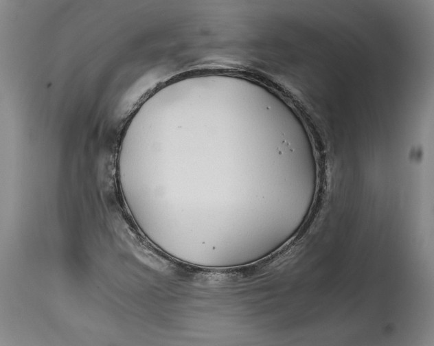 X0000114391355200911061505