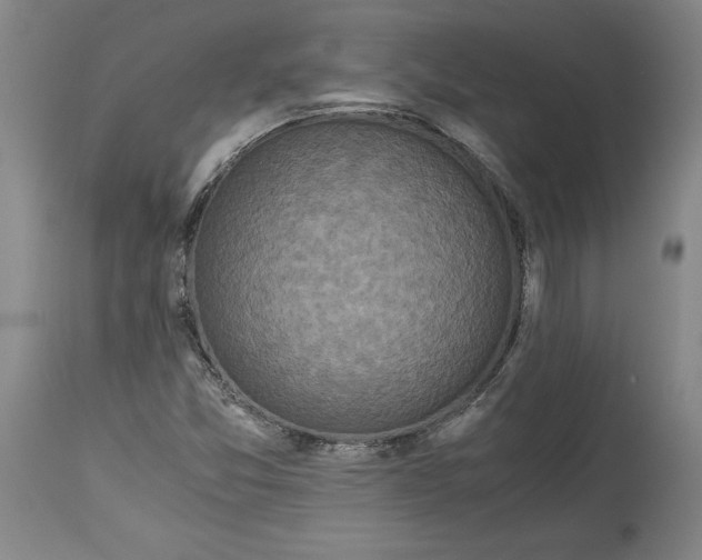 X0000114391357200911061505