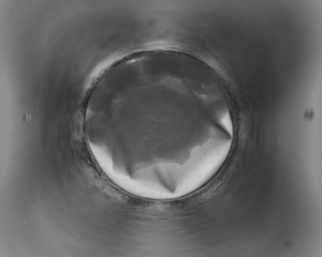 X0000114391358200911061505