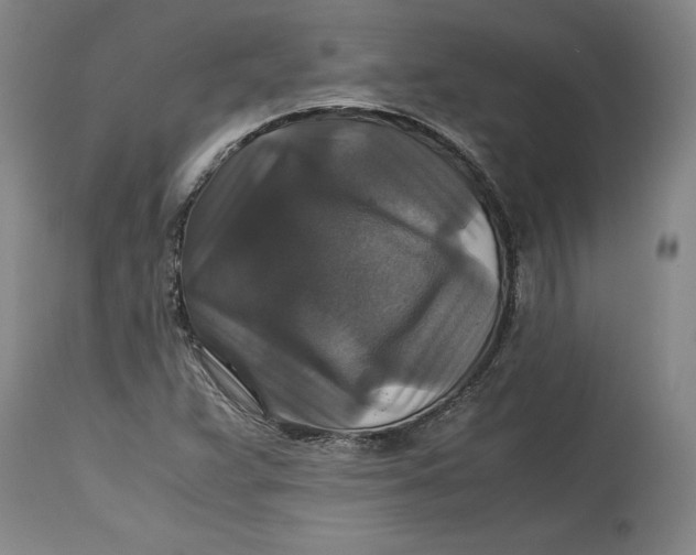 X0000114391359200911061505