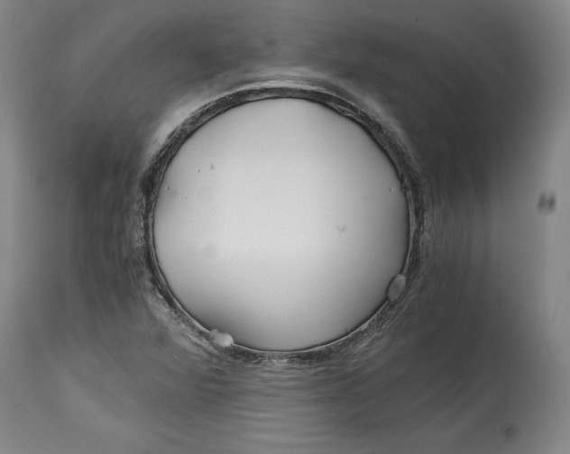 X0000114391360200911061505