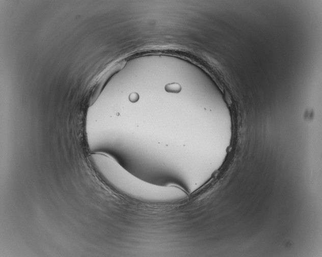 X0000114391361200911061505