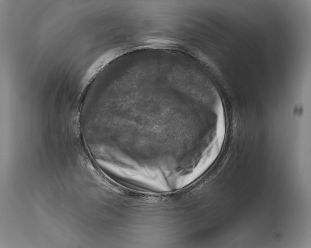 X0000114391362200911061505