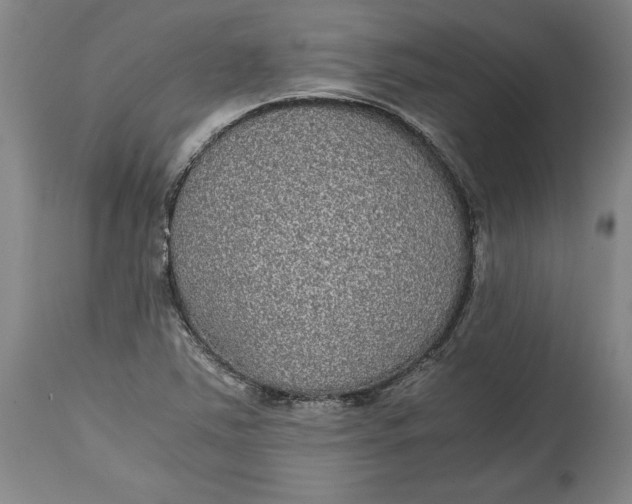 X0000114391363200911061505