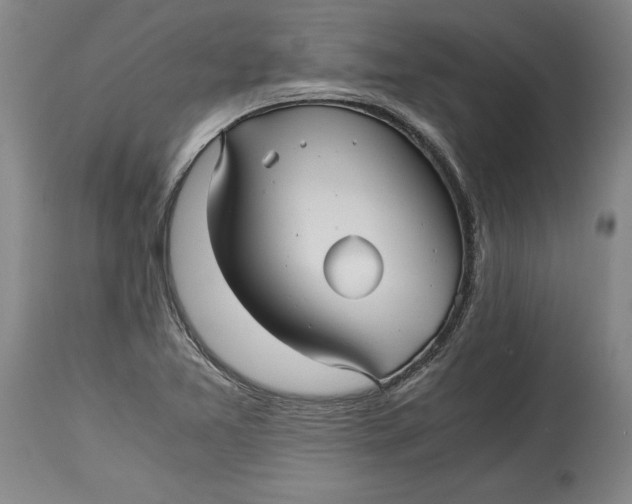 X0000114391365200911061505