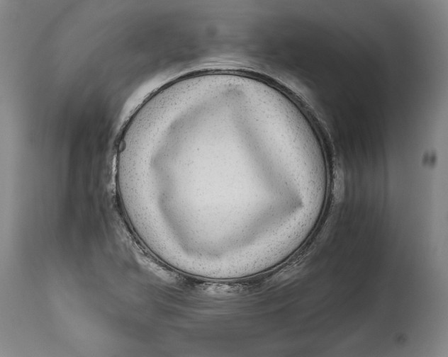 X0000114391366200911061505