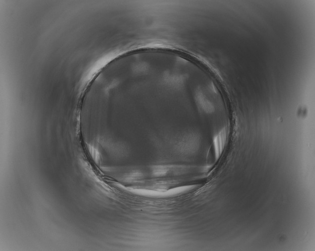 X0000114391367200911061505
