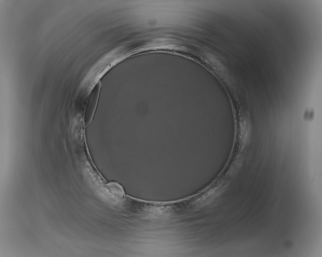 X0000114391369200911061505