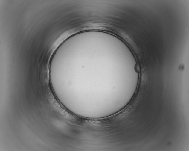 X0000114391370200911061505
