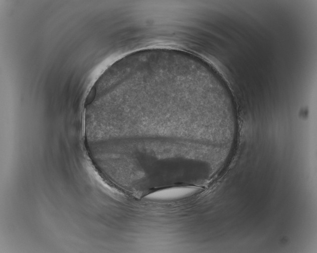 X0000114391371200911061505