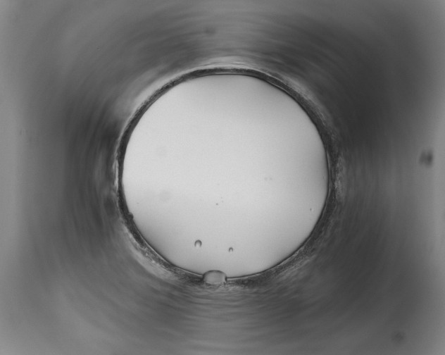 X0000114391372200911061505