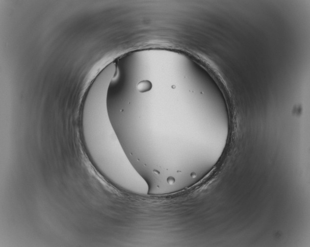 X0000114391373200911061505