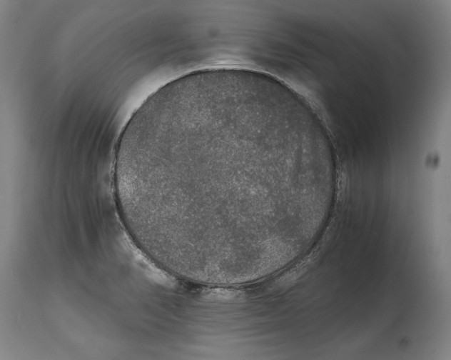 X0000114391374200911061505