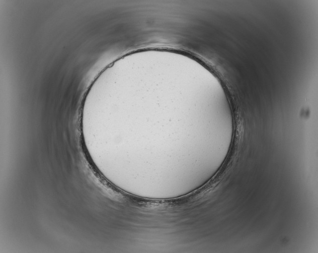 X0000114391375200911061505