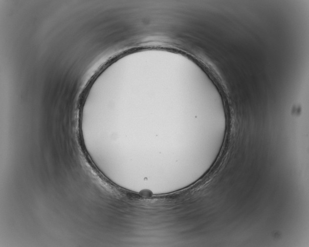 X0000114391376200911061505