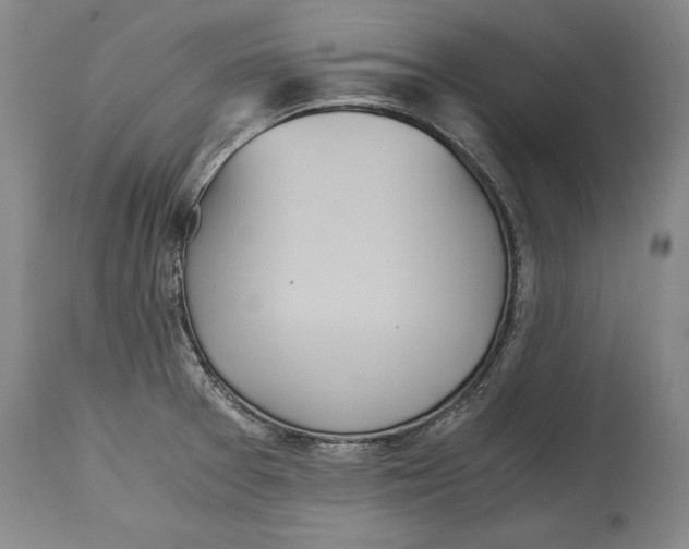 X0000114391377200911061505