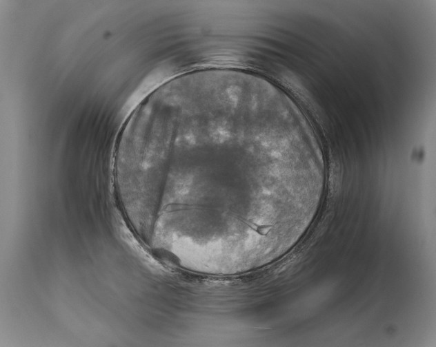 X0000114391378200911061505