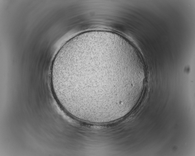 X0000114391379200911061505