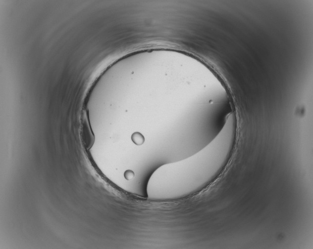 X0000114391381200911061505
