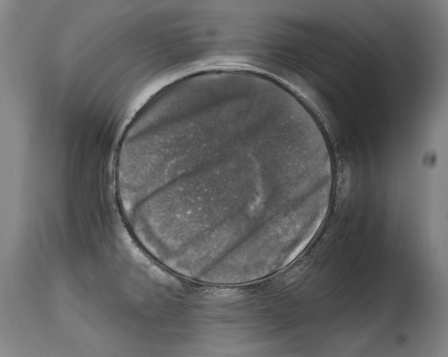 X0000114391382200911061505