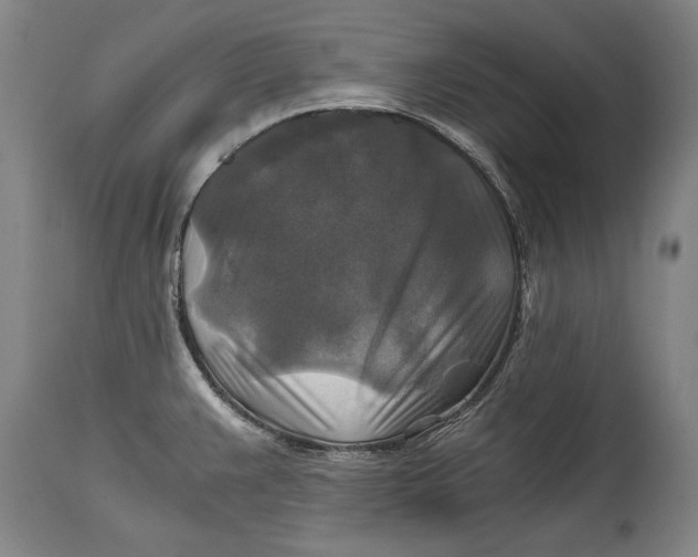 X0000114391383200911061505