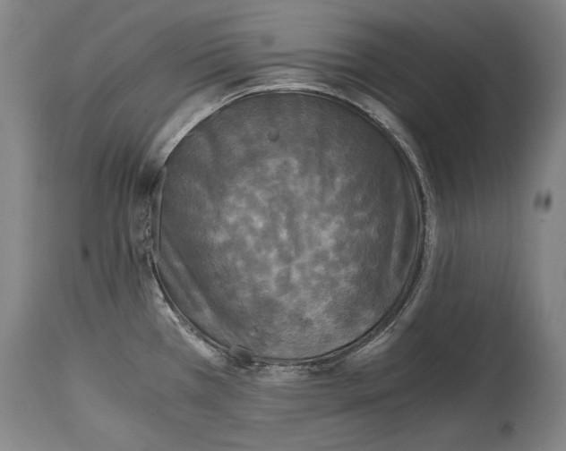 X0000114391385200911061505