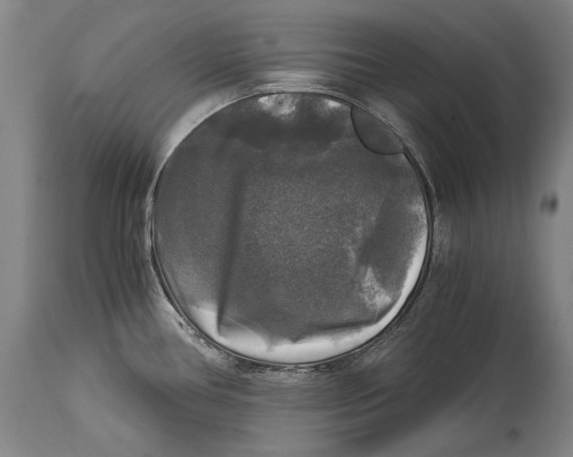 X0000114391386200911061505