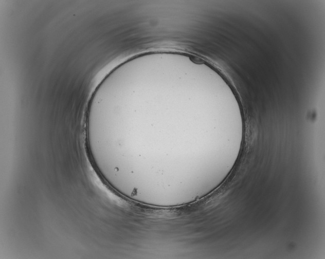 X0000114391387200911061505