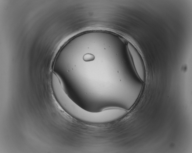 X0000114391388200911061505