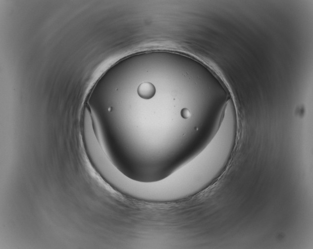 X0000114391389200911061505