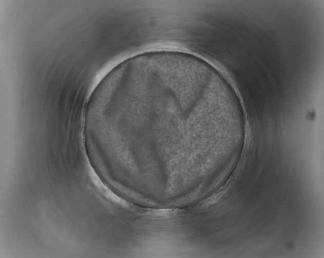 X0000114391390200911061505