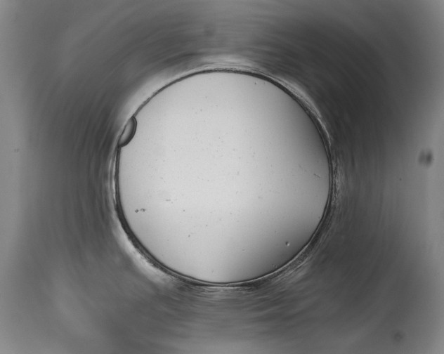 X0000114391391200911061505