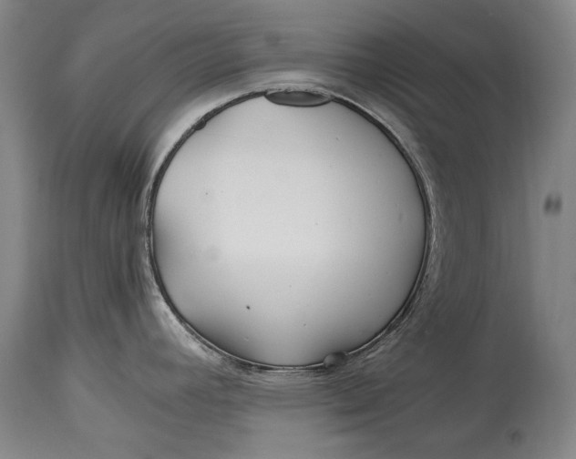 X0000114391392200911061504