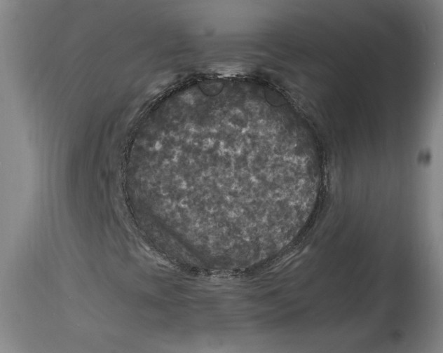 X0000114391393200911061504